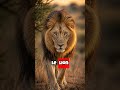 Tu encaisse beaucoup, mais jusqu'où ? 🦁 Est-il temps de redéfinir vos limites ? #science #situation
