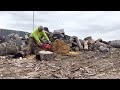 Monster chainsaw