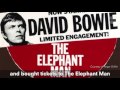 David bowie  the next murder target for mark david chapman