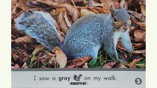 Let's Find Out : My autumn Nature Walk