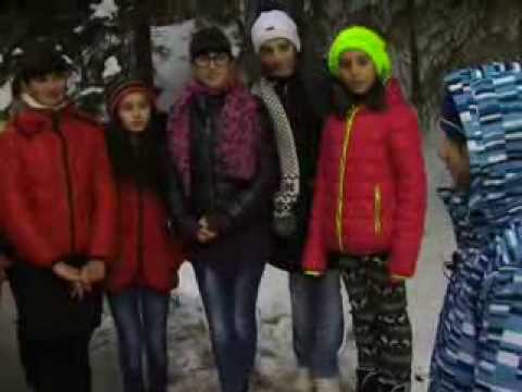 \"ეკოვიზიის\" სიუჟეტი ნაძვის ხეებზე