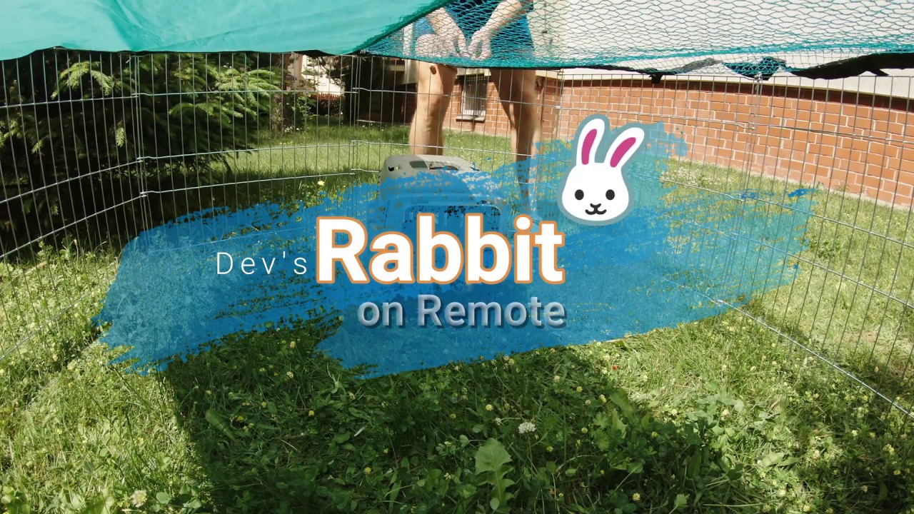 [4K] Rabbit Adventure #1 - YouTube