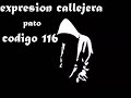 Expresion Callejera mp3