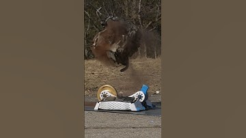 This is how you jump start an engine! #engineering #cars #battlebots #orbitron #destroy