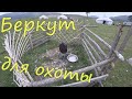 Беркут для охоты. Западная Монголия.