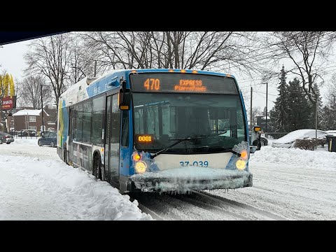 STM Bus Compilation February 2025