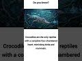 crocodile heart