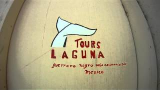 Lost Go Pro in May 2009 on Isla Ildefonso, Sea of Cortez. Who's Go Pro Video?