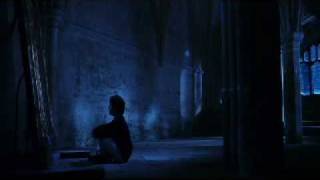 Harry Potter - My Heart Will Go On