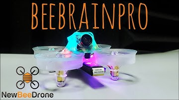 BeeBrainPro by NewBeeDrone Quick Look