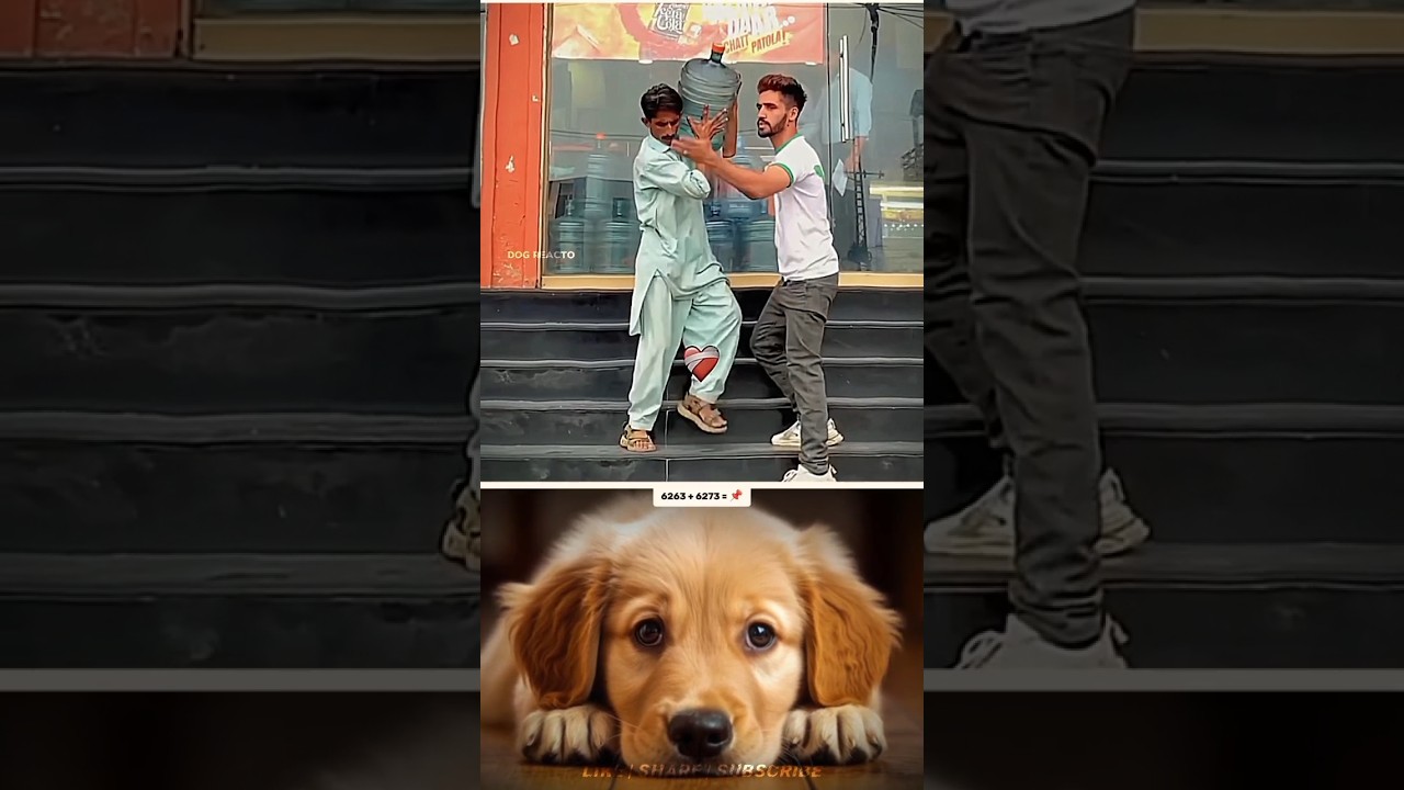 Broh was confused...😂   