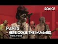 Pants - Here Come the Mummies