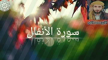 تلاوت سورة الأنفال للقارئ محمد الفقيه ،....