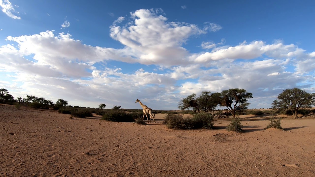 Kalahari anib Lodge Sundowner 2019