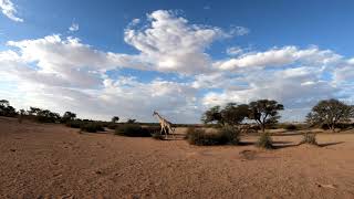 Kalahari Anib Lodge Sundowner 2019