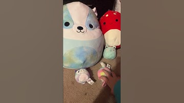 I won’t be posting in a while because I am making an animation! #squishmallows