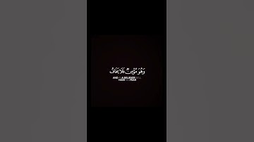 قرآن شاشة سوداء - القارئ عبدالله الموسى - سورة طه .