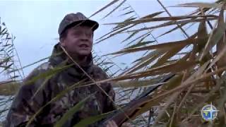 картинка: Охота на гуся. Казахстан. Осень