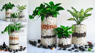 Stunning and Affordable Mini Gabion Planter Ideas For Your Desk Plants//GREEN PLANTS
