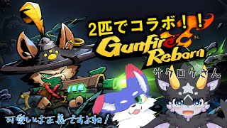 【ガンファ/コラボ】　２匹でガンガン行きます！！！！