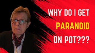 Why Do I get Paranoid on Cannabis?: The Truth about Reefer Madness (You may not want to hear this!)