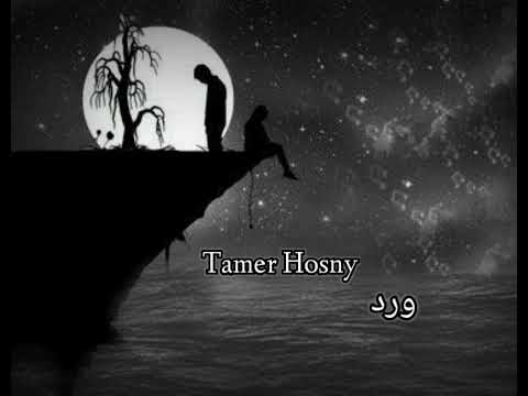أغنية ورد صناعي تامر حسني كلمات