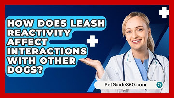 How Does Leash Reactivity Affect Interactions With Other Dogs? - PetGuide360.com