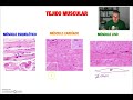 T MUSCULAR 6 - Tipos de tejido muscular