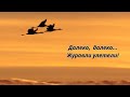 Далеко далеко журавли улетели