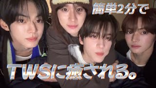 【TWS/日本語字幕】喧嘩するほど仲が良いTWS。【투어스】