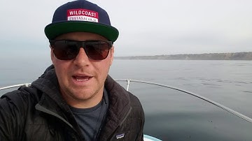 WILDCOAST
