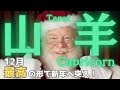 【山羊座】12月の運勢🎉あなたに届くクリスマスプレゼント🎁ネクストステージで新年を迎える🙌タロット占い