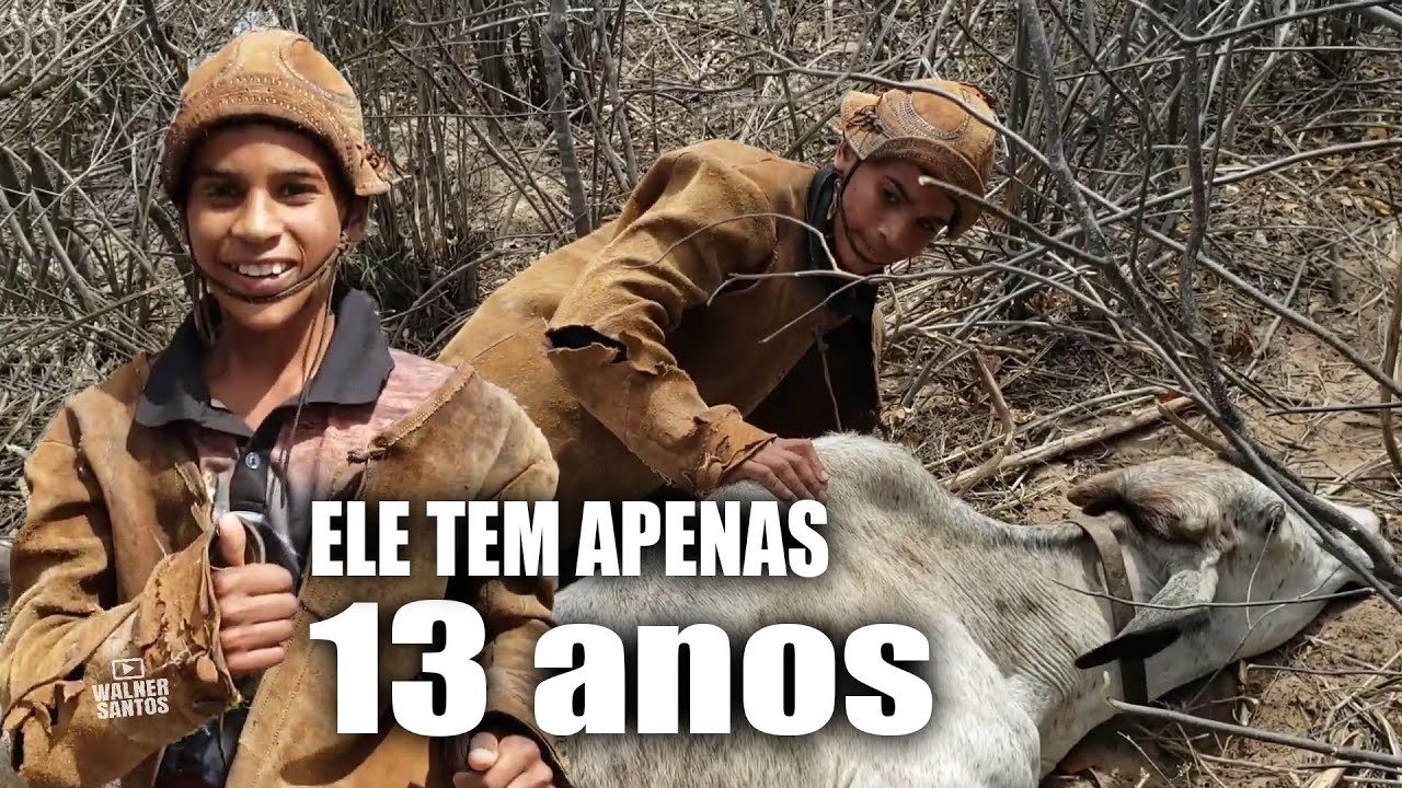 Vaqueiro tem apenas 13 anos e já ganhou prêmios nas Pegas de Boi - conheça José Francisco