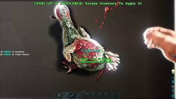 Solo-ing the ARK S1 E1 Primitive Plus