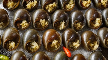 ĐẶC SẢN chỉ vùng cao mới có