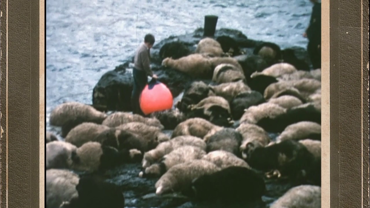 Sandavágur Afturhvarv