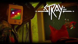 Секретная лаборатория. Оружие против Зурков | STRAY #4