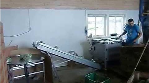 Cost Effective Packing of Broccoli: Single Station VePack S system