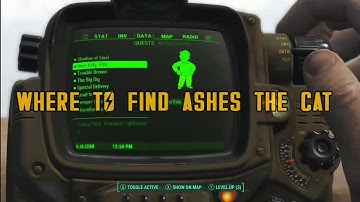 Fallout 4 Guide: Where to find Ashes the cat