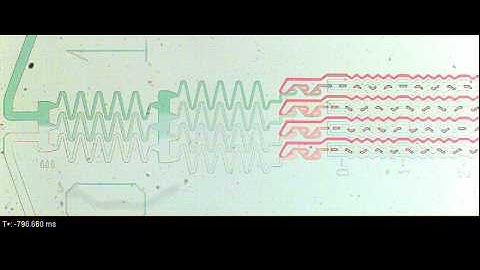 Parallel microdroplets technology (small droplets) -- Nicolae Damean