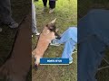 Morning Minute... Moda Center, LCSO Approved for new HQ, Goats on UO campus