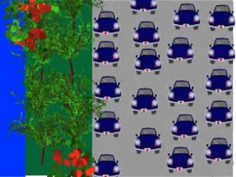 დავიცვათ ბუნება