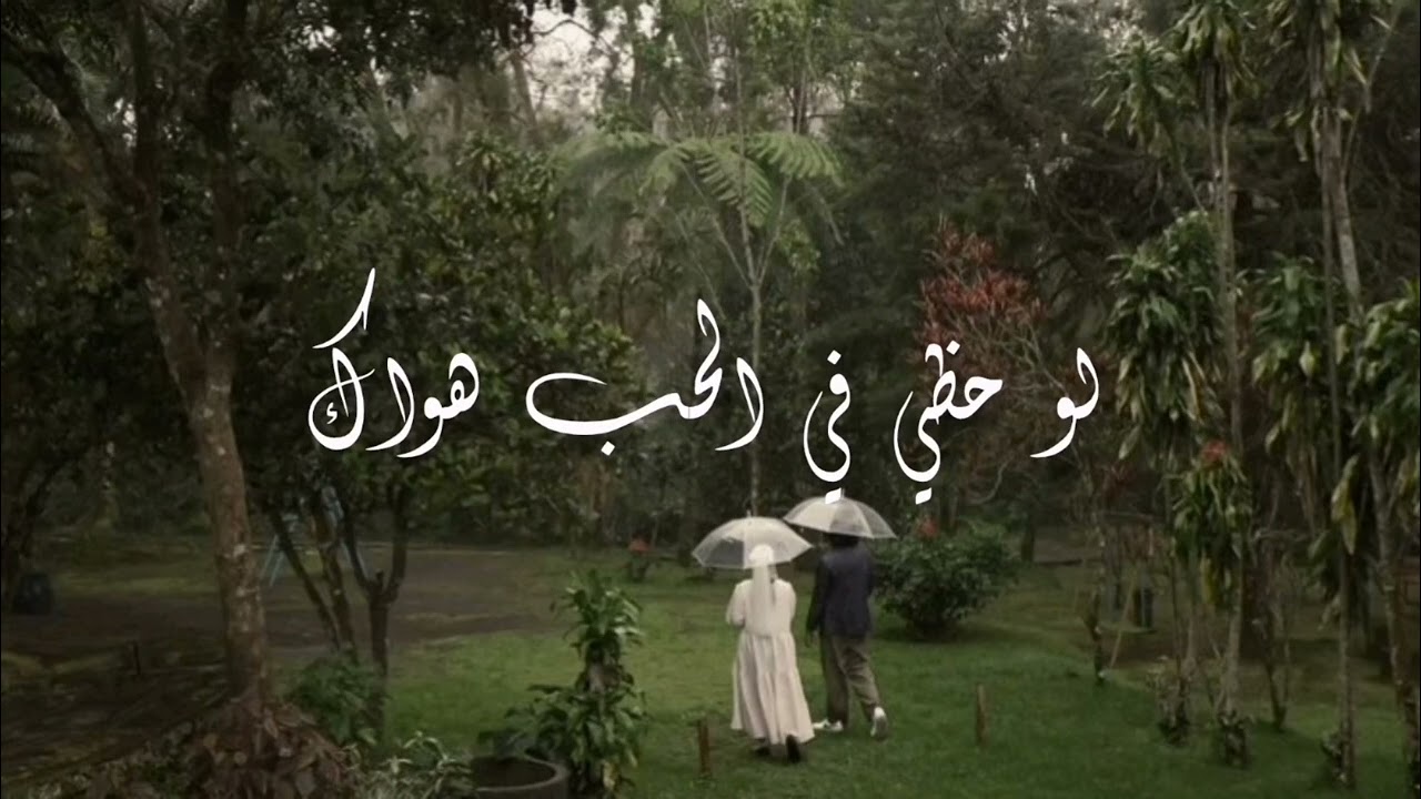 لو حظي في الحب هواكِ | د. محمد مغاوري