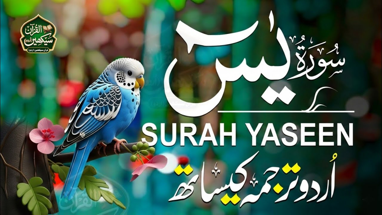 Surah Yasin | Surat Yaseen with Urdu Translation | Quran Tilawat Beautiful Voice | Hindi Tarjuma