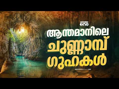 ആന്തമാനിലെ ബാരാതാങ് ദ്വീപിലെ പ്രശസ്തമായ ലൈം സ്റ്റോൺ കേവ്സ് കണ്ടാലോ ? | Andaman | BaratangIsland