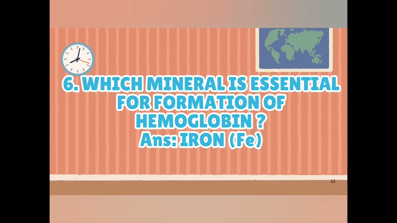 Mega quiz for competitive exams|Revision notes for competitive exams| 1 hour revision notes| 