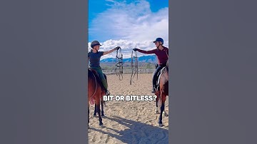Bit or bitless? How about as least invasive as possible? #horse #horsetraining #bitless