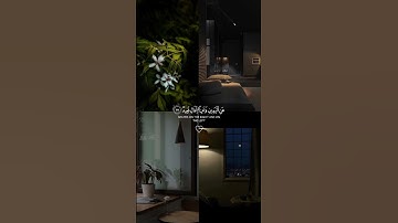 #قرآن #راحة_نفسية #تلاوة_خاشعة #محمد_هشام #quran #viralvideo #video #fyp #funny