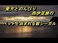 愛犬と西伊豆でお泊り　気軽な宿シーガル