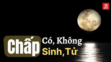 Chấp Có, chấp Không, chấp Sinh, chấp Tử -TS Thích Nhất Hạnh